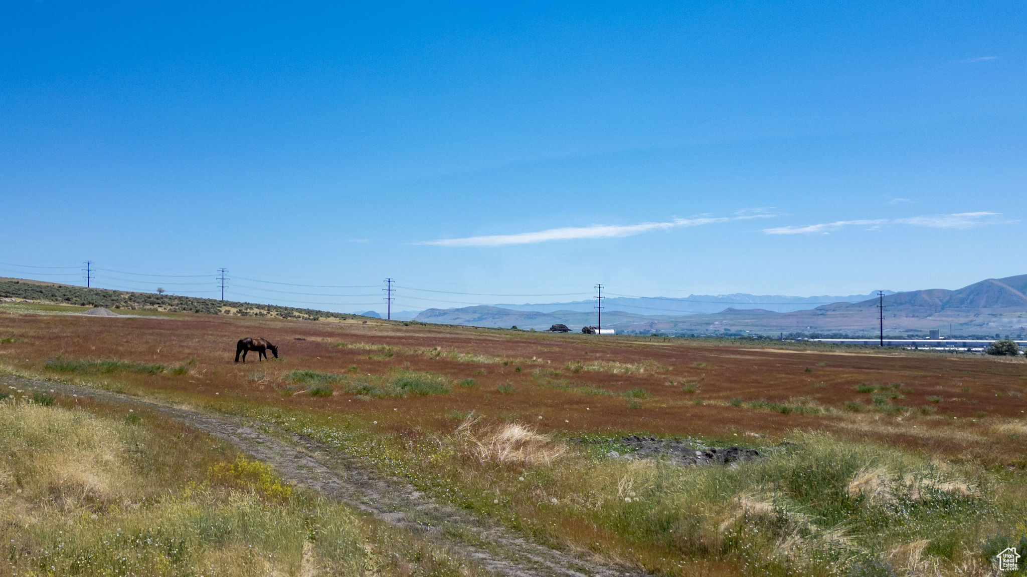 SPRING HOLLOW - Land