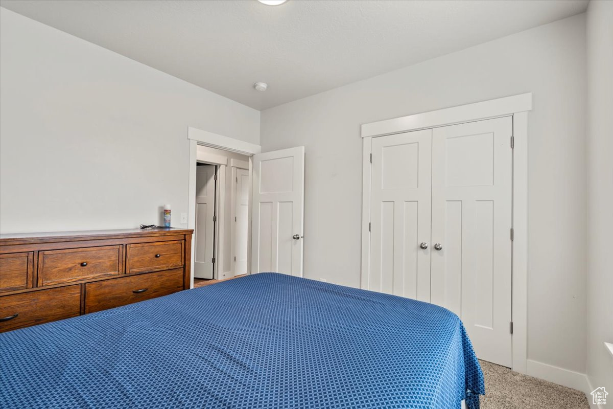 TIMP POINT - Residential