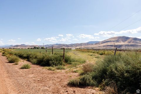 Tiny photo for 1800 N VERMILLION CANAL RD, Venice, UT 84701 (MLS # 2110596)