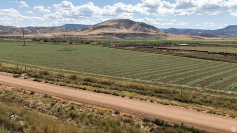 Tiny photo for 1800 N VERMILLION CANAL RD, Venice, UT 84701 (MLS # 2110596)