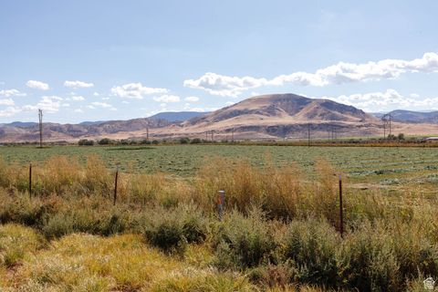 Tiny photo for 1800 N VERMILLION CANAL RD, Venice, UT 84701 (MLS # 2110596)