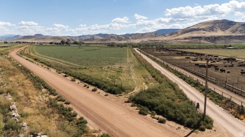 Tiny photo for 1800 N VERMILLION CANAL RD, Venice, UT 84701 (MLS # 2110596)