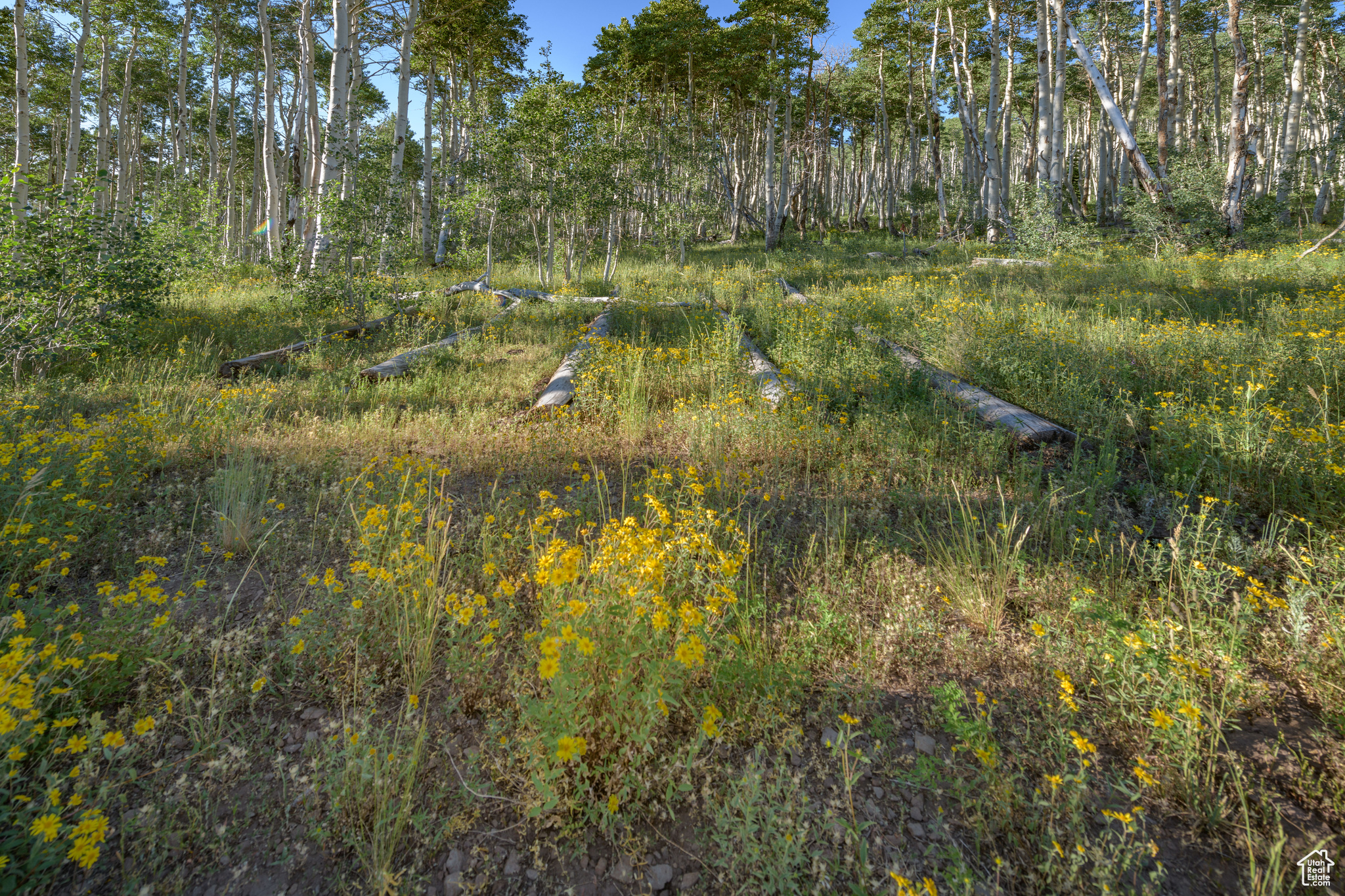 1458 W 6400, Cedar City, Utah image 29