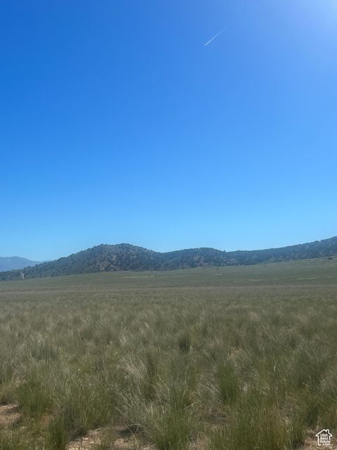 Vacant Land For Sale - Land<br/> Juab County, Levan, UT 84639