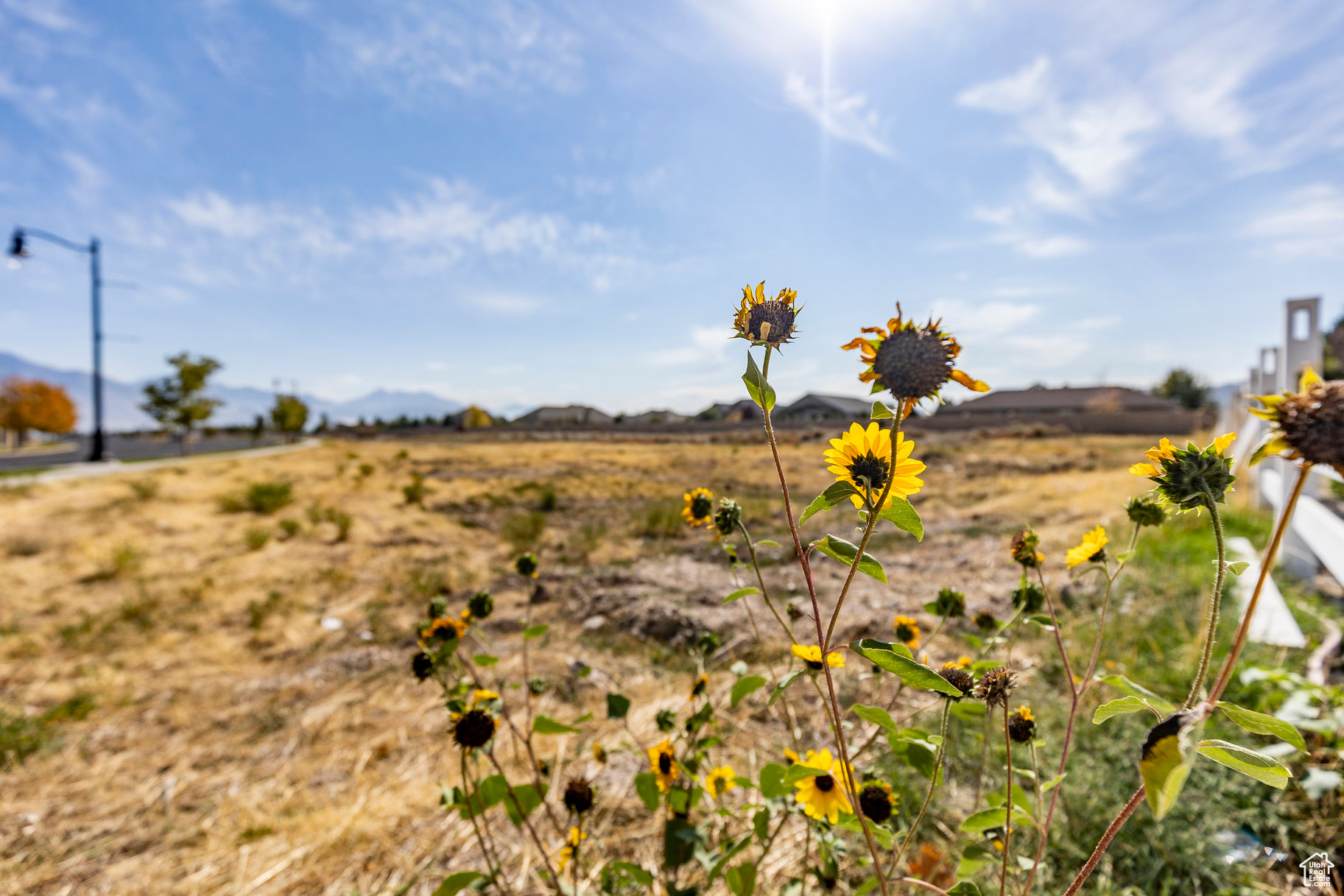 5222 W Herriman Blvd, Herriman, Utah image 4