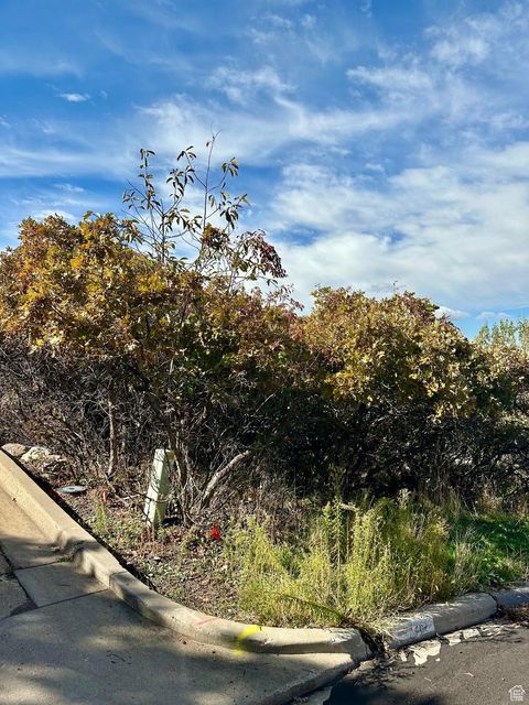 Tiny photo for 3716 S OAKRIDGE CT, Bountiful, UT 84010 (MLS # 2117676)