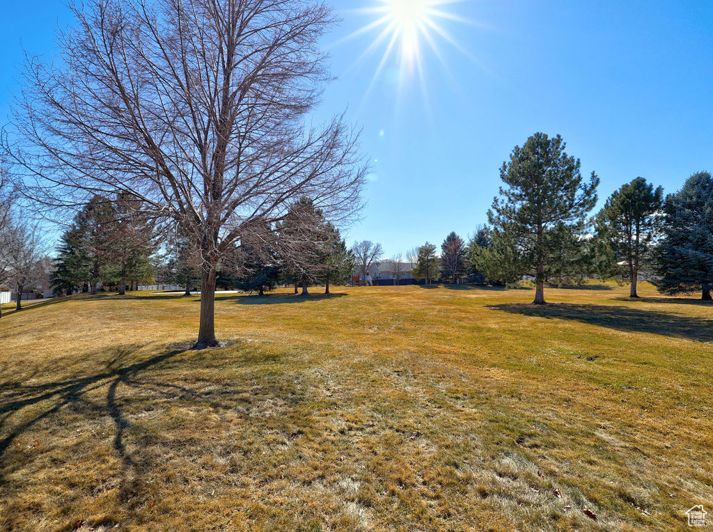 9746 Tayside Dr, South Jordan, Utah image 42