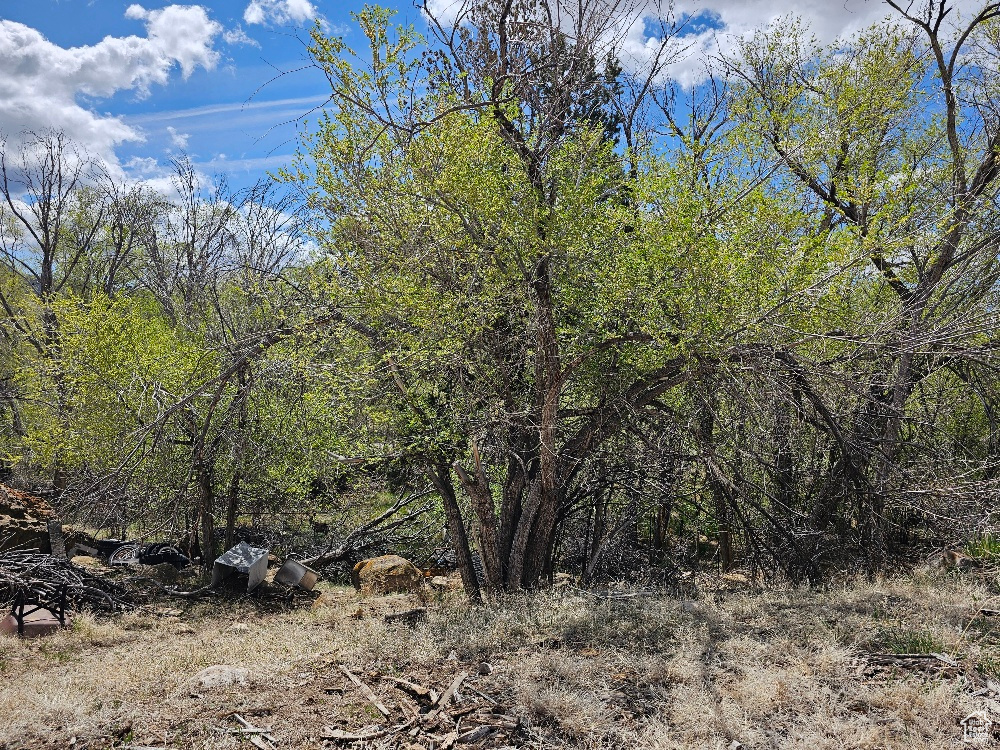 172 Grassy Dr, East Carbon, Utah image 3