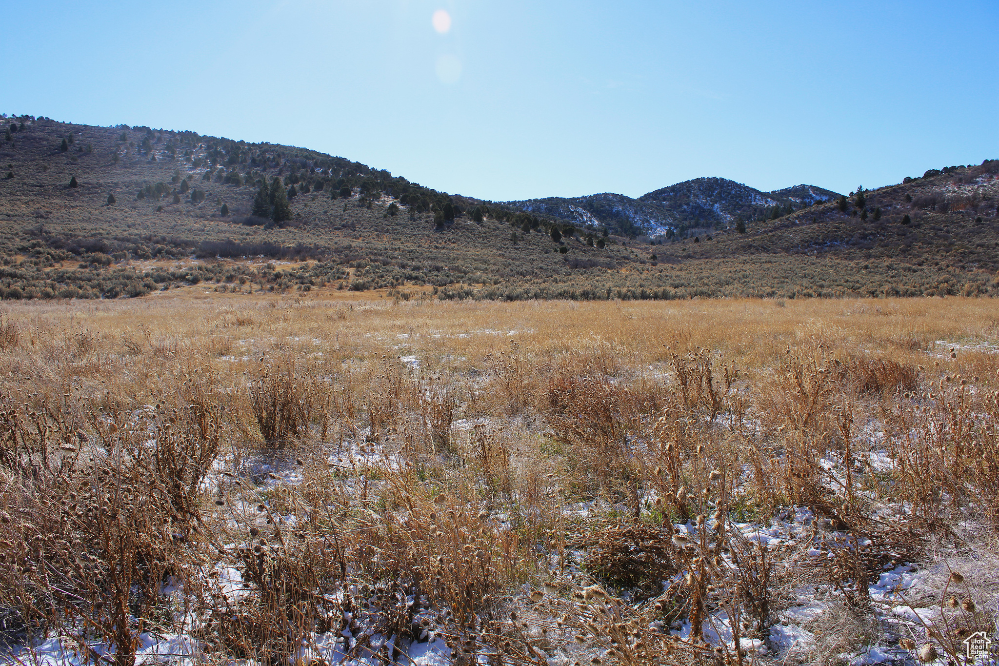 Land, Grace, Idaho image 25