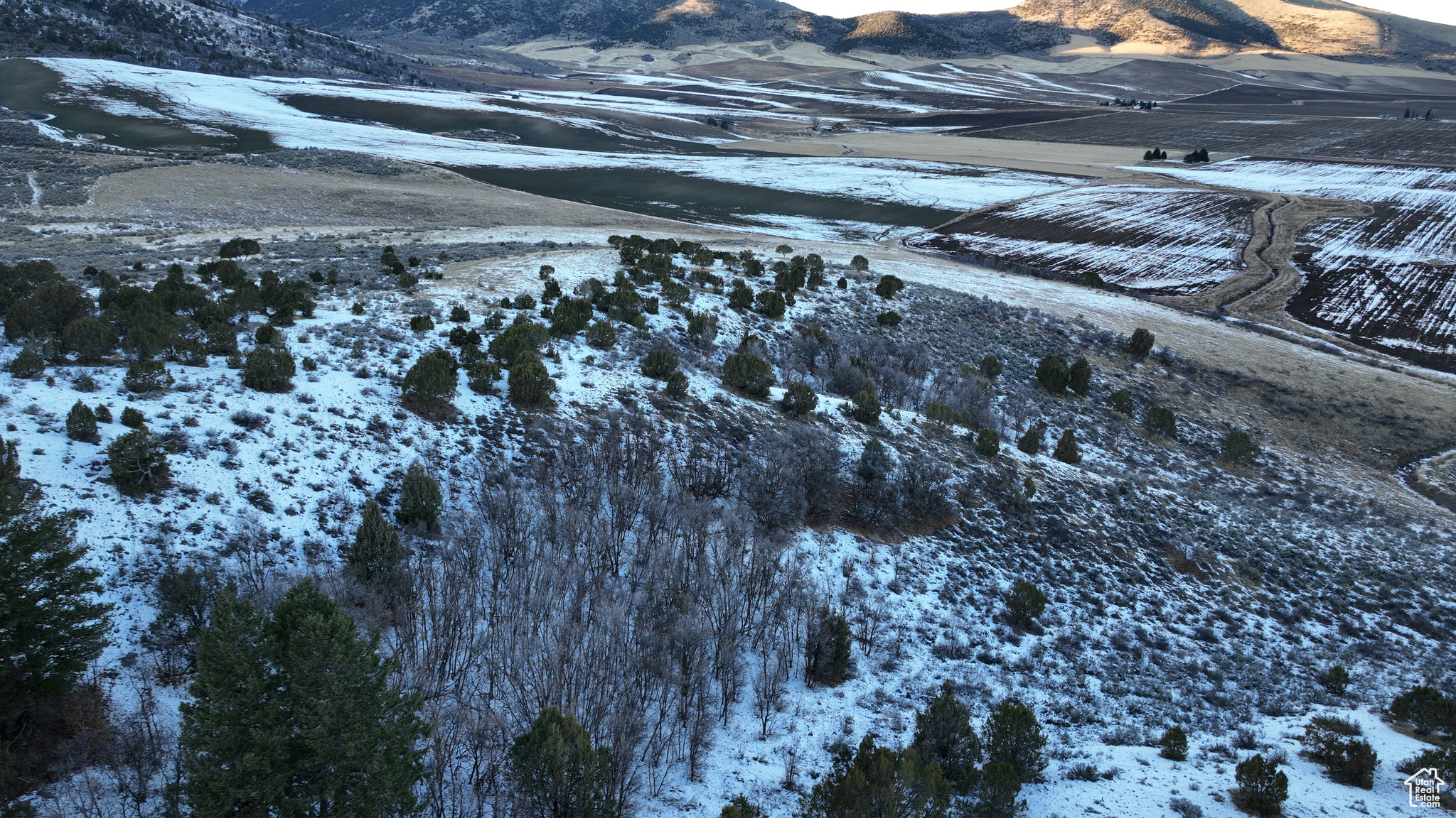 Land, Grace, Idaho image 13