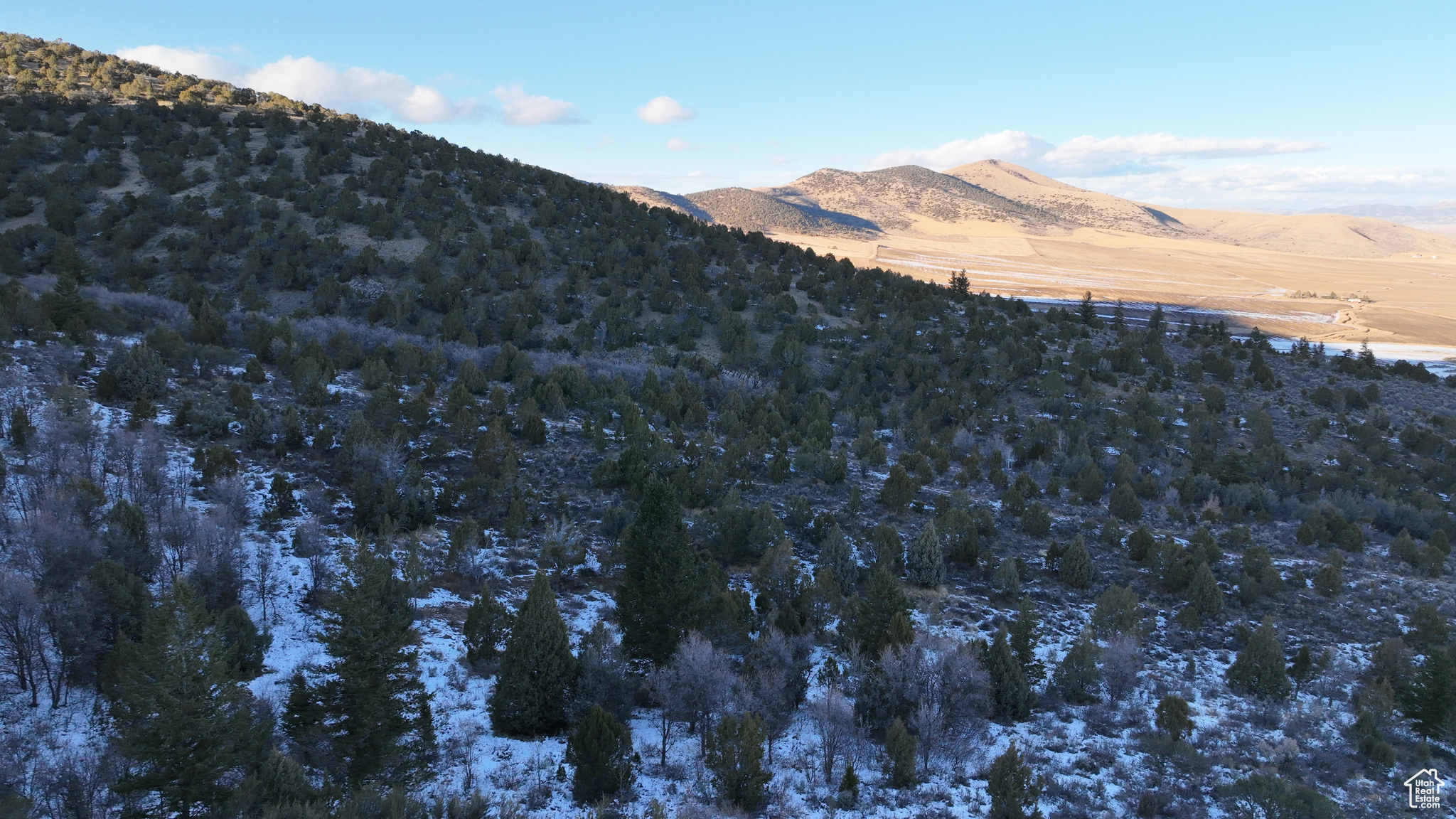 Land, Grace, Idaho image 20