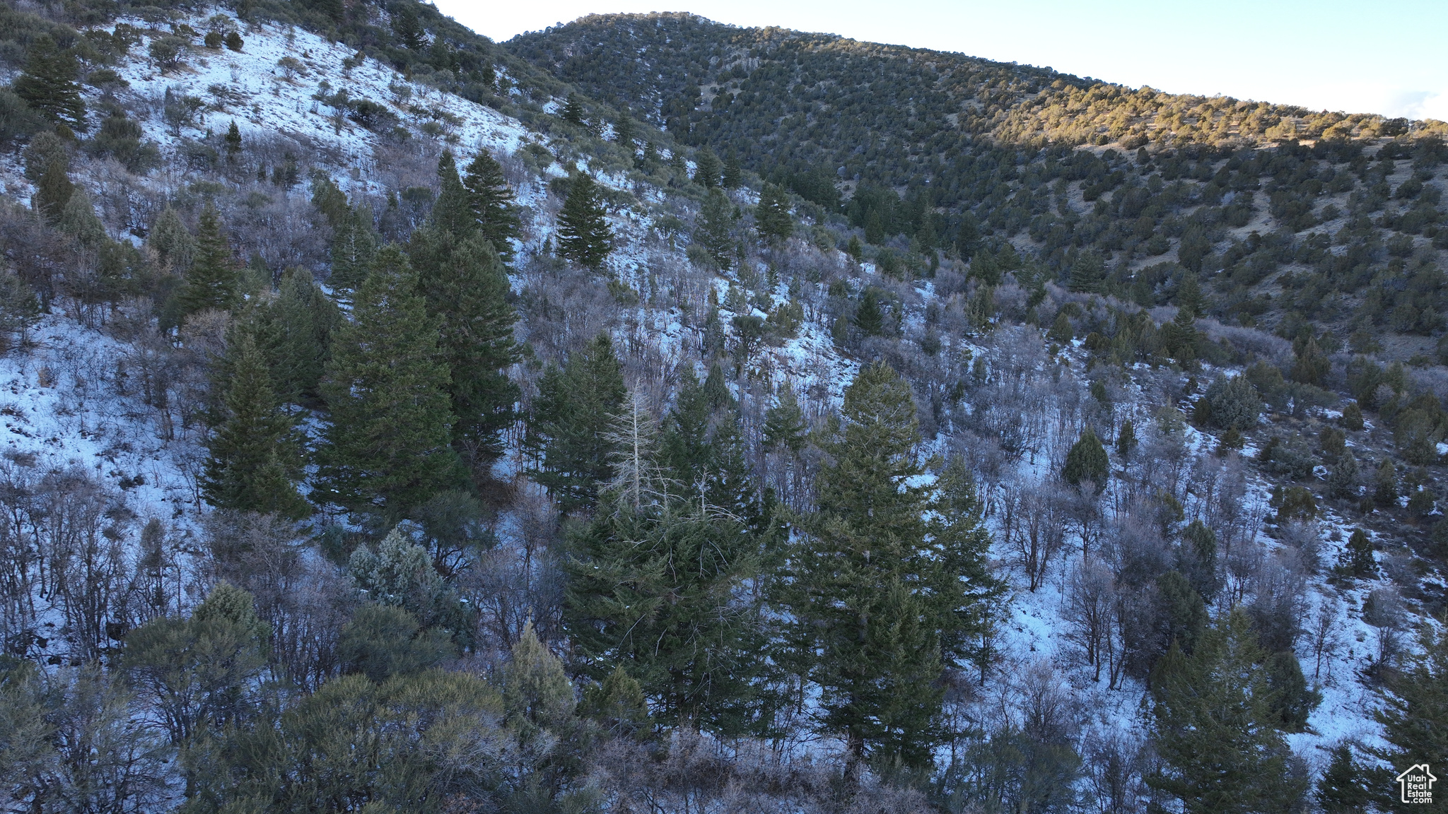 Land, Grace, Idaho image 21