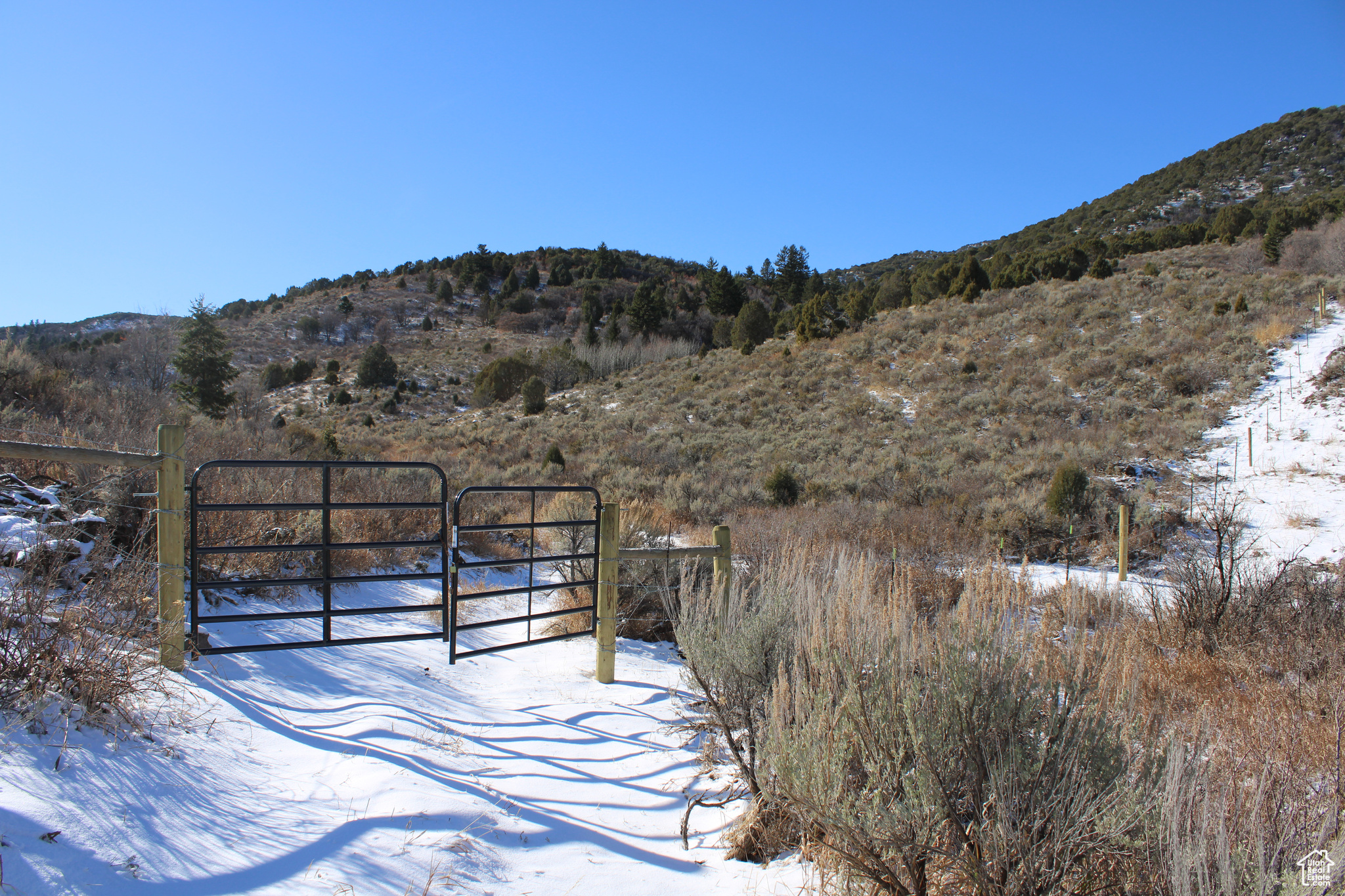 Land, Grace, Idaho image 31