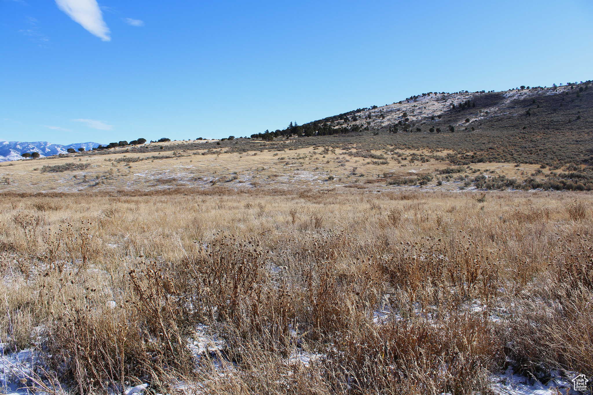Land, Grace, Idaho image 26
