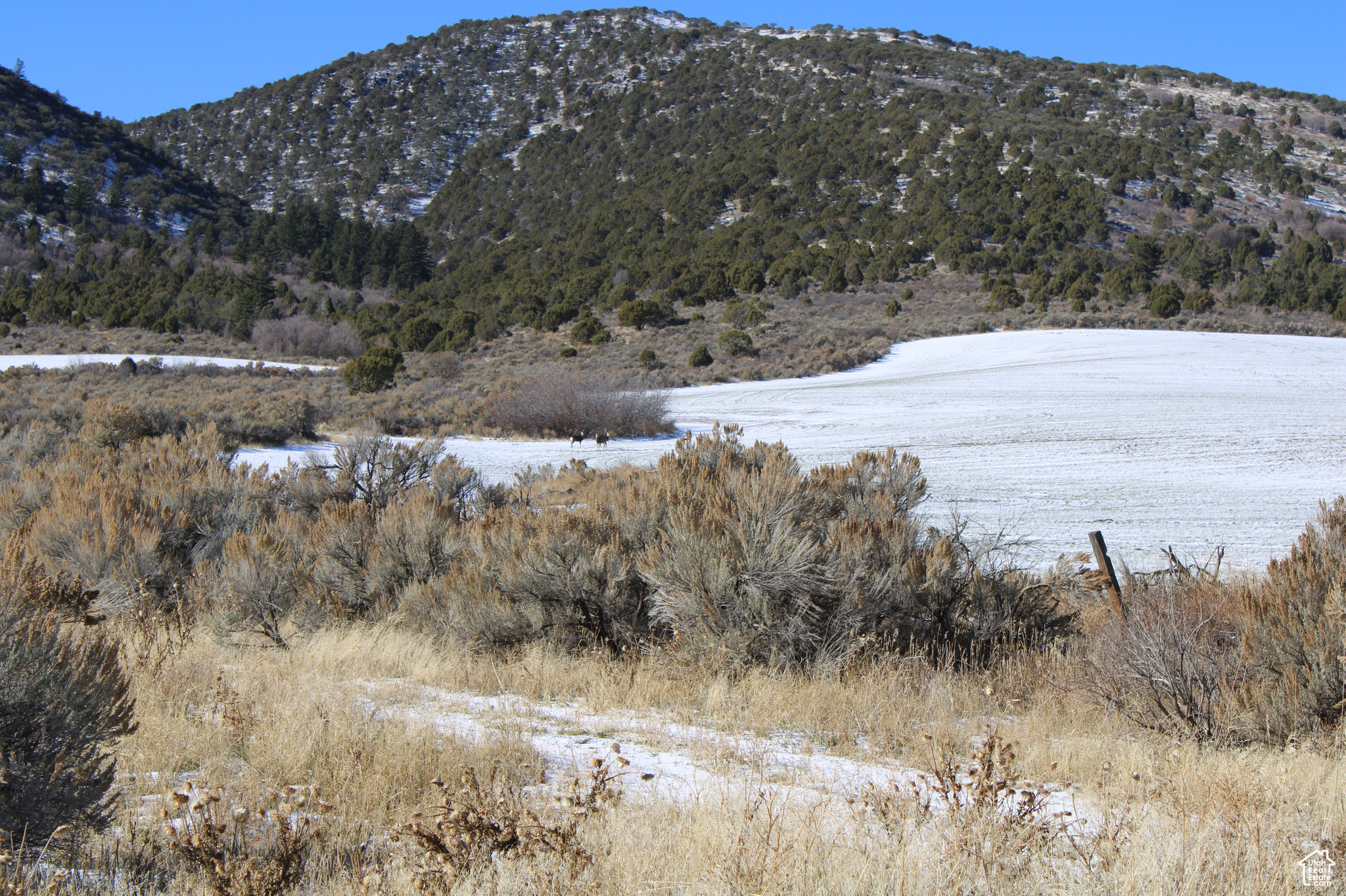 Land, Grace, Idaho image 30