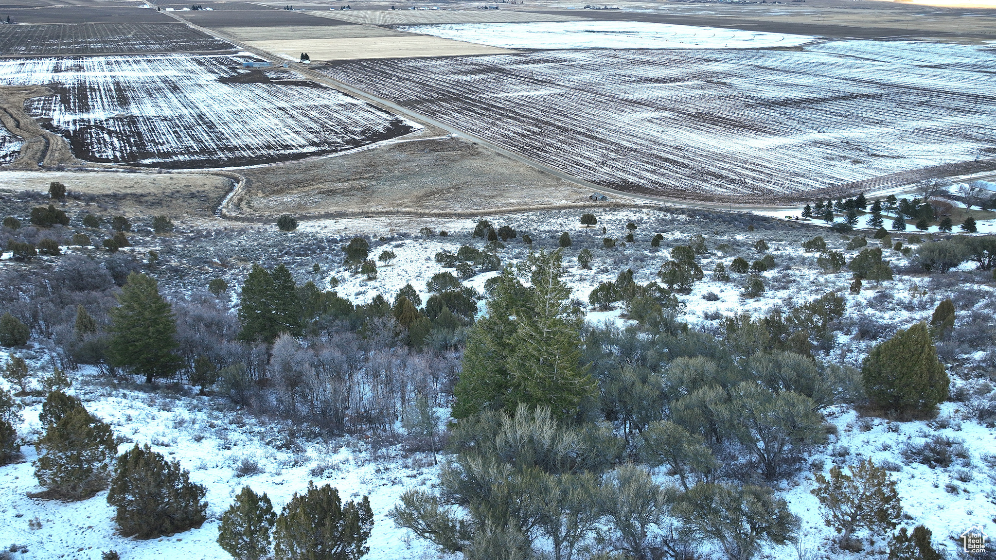 Land, Grace, Idaho image 12