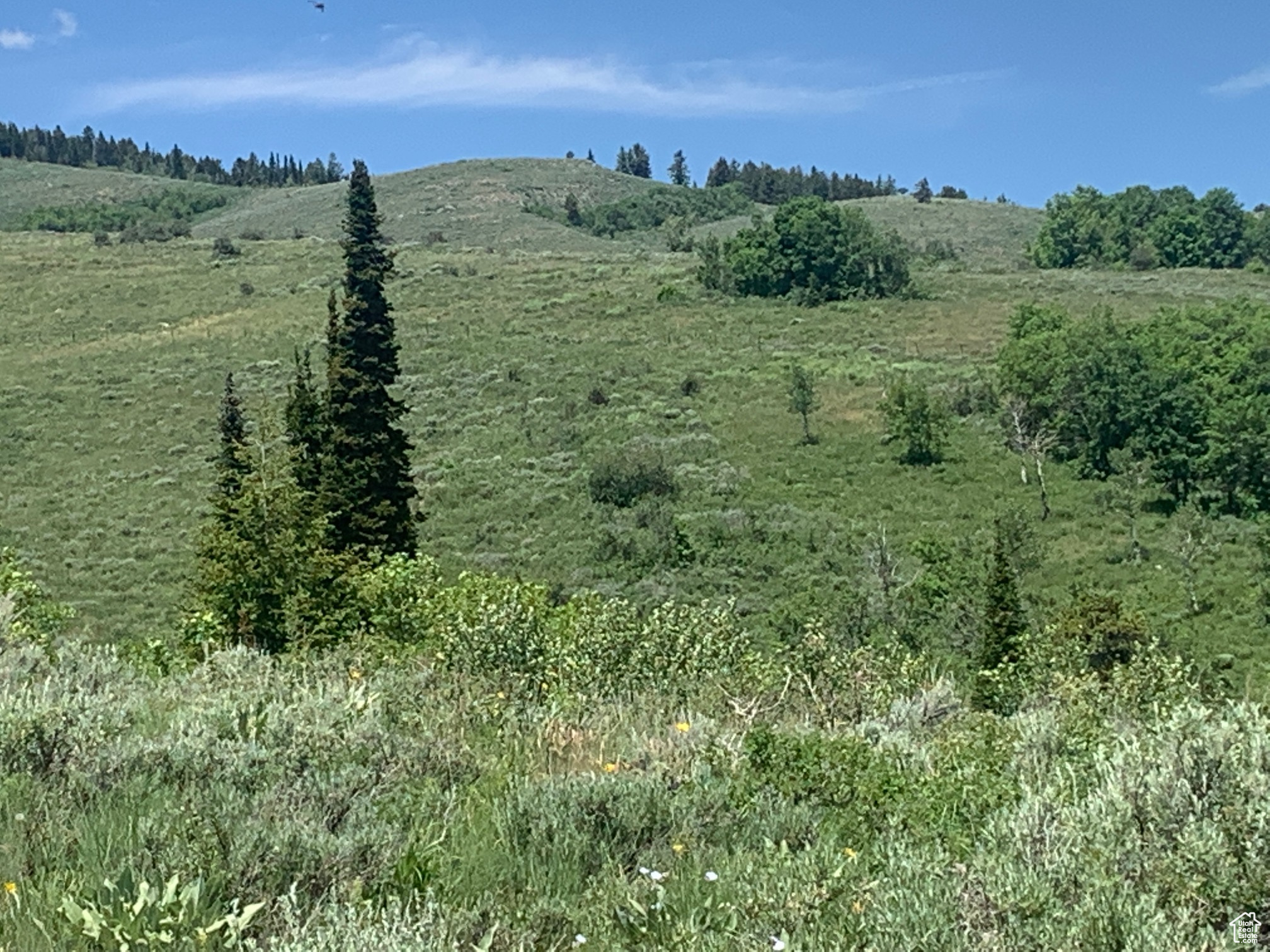 BEAR LAKE WEST PLAT C - Land