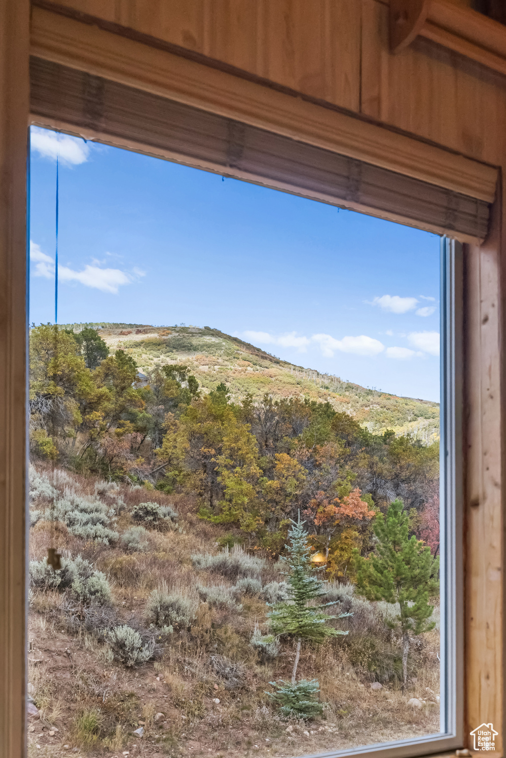 BEAVER SPRINGS RANCHEROS - Residential