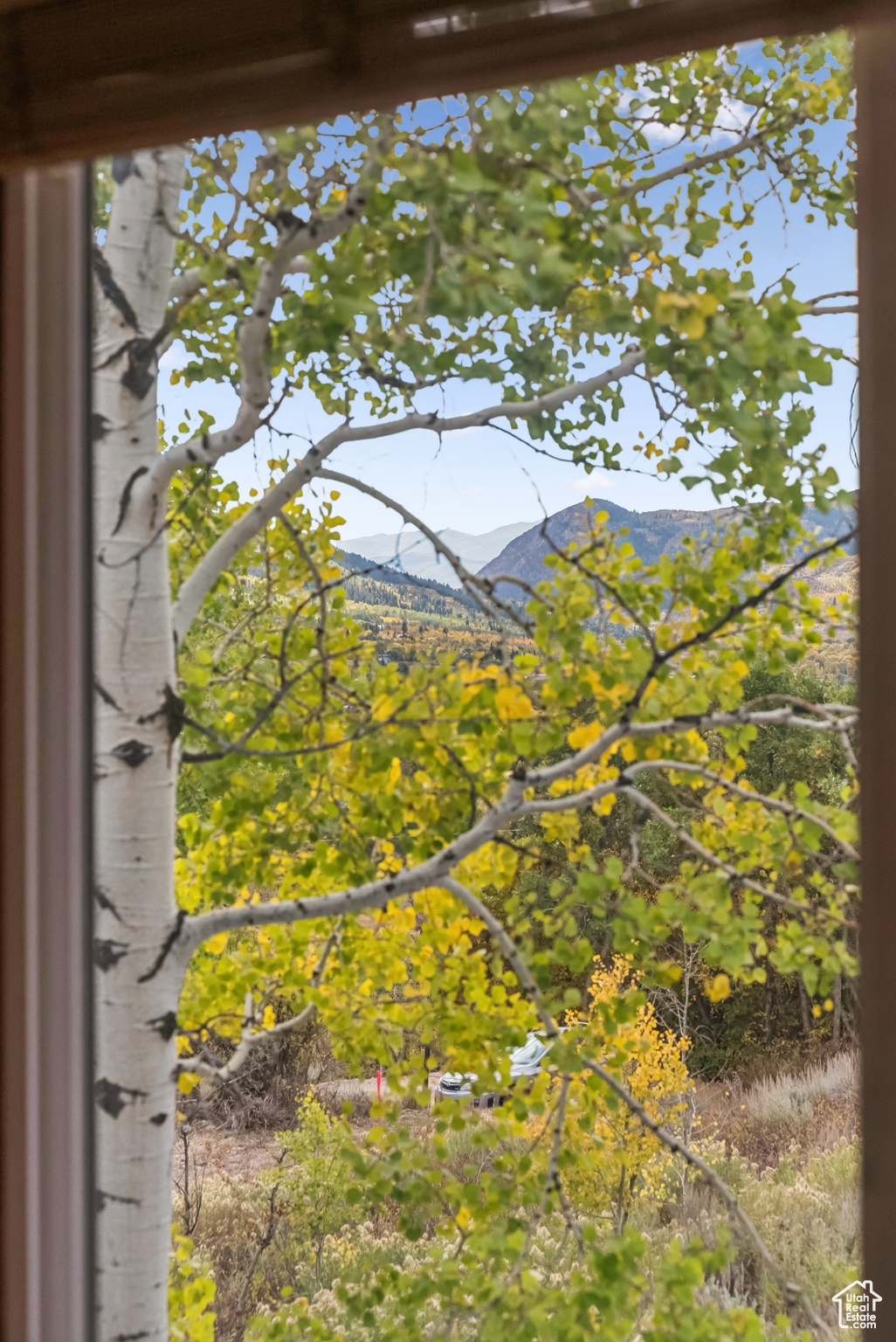 BEAVER SPRINGS RANCHEROS - Residential