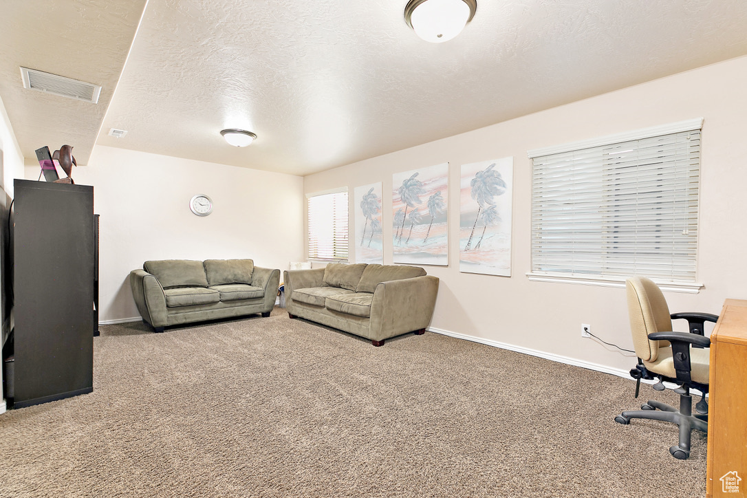 629 E 110, American Fork, Utah image 24