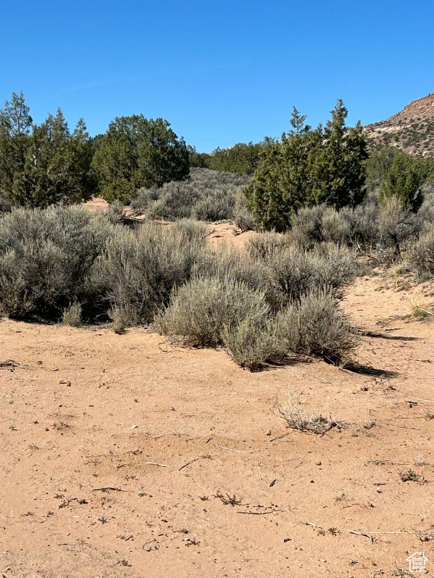 10 acres in Bluebell Utah! This land would make great recreational land or a possible site for a home. There are many recreational areas nearby, including Sandwash Reservoir! There is power in the area, and water well permits are available at buyers expense.