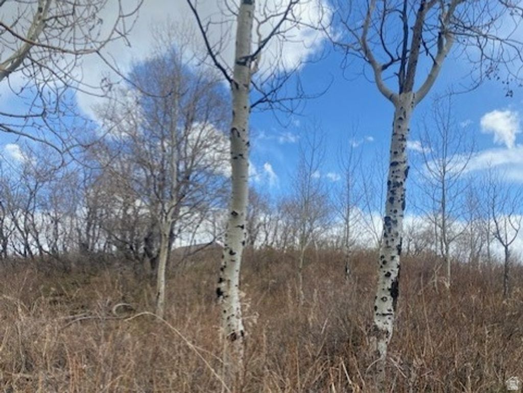 Photo of 1117 W ARAPAHO DR #D140A, Coalville, UT 84017 (MLS # 2150230)