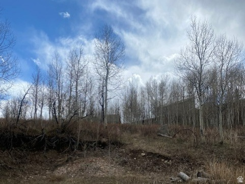 FOREST MEADOWS - Land