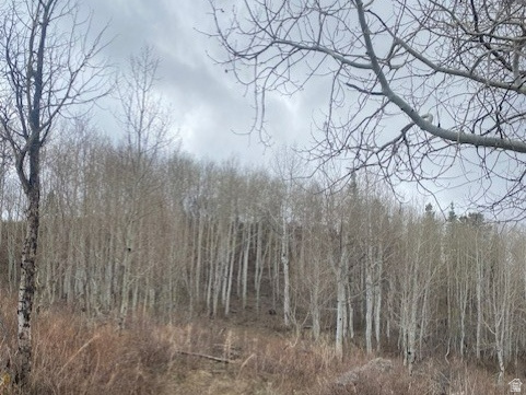 FOREST MEADOWS - Land