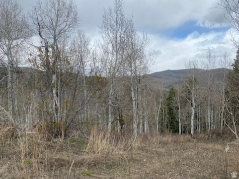 FOREST MEADOWS - Land