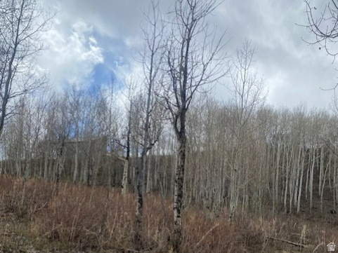 FOREST MEADOWS - Land