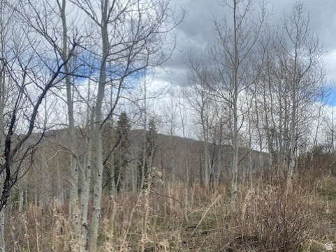 FOREST MEADOWS - Land