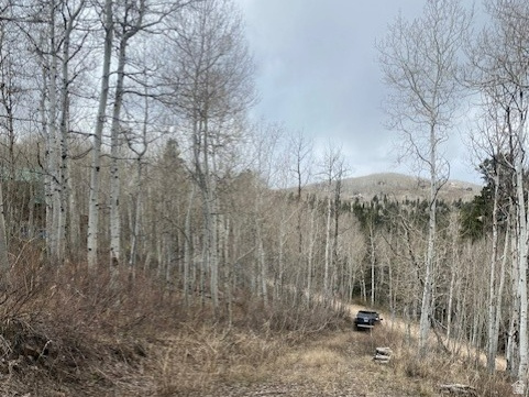 FOREST MEADOWS - Land