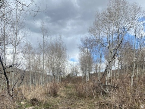 FOREST MEADOWS - Land