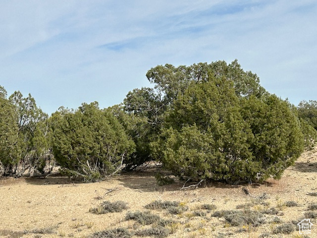 Land, Duchesne, Utah image 8