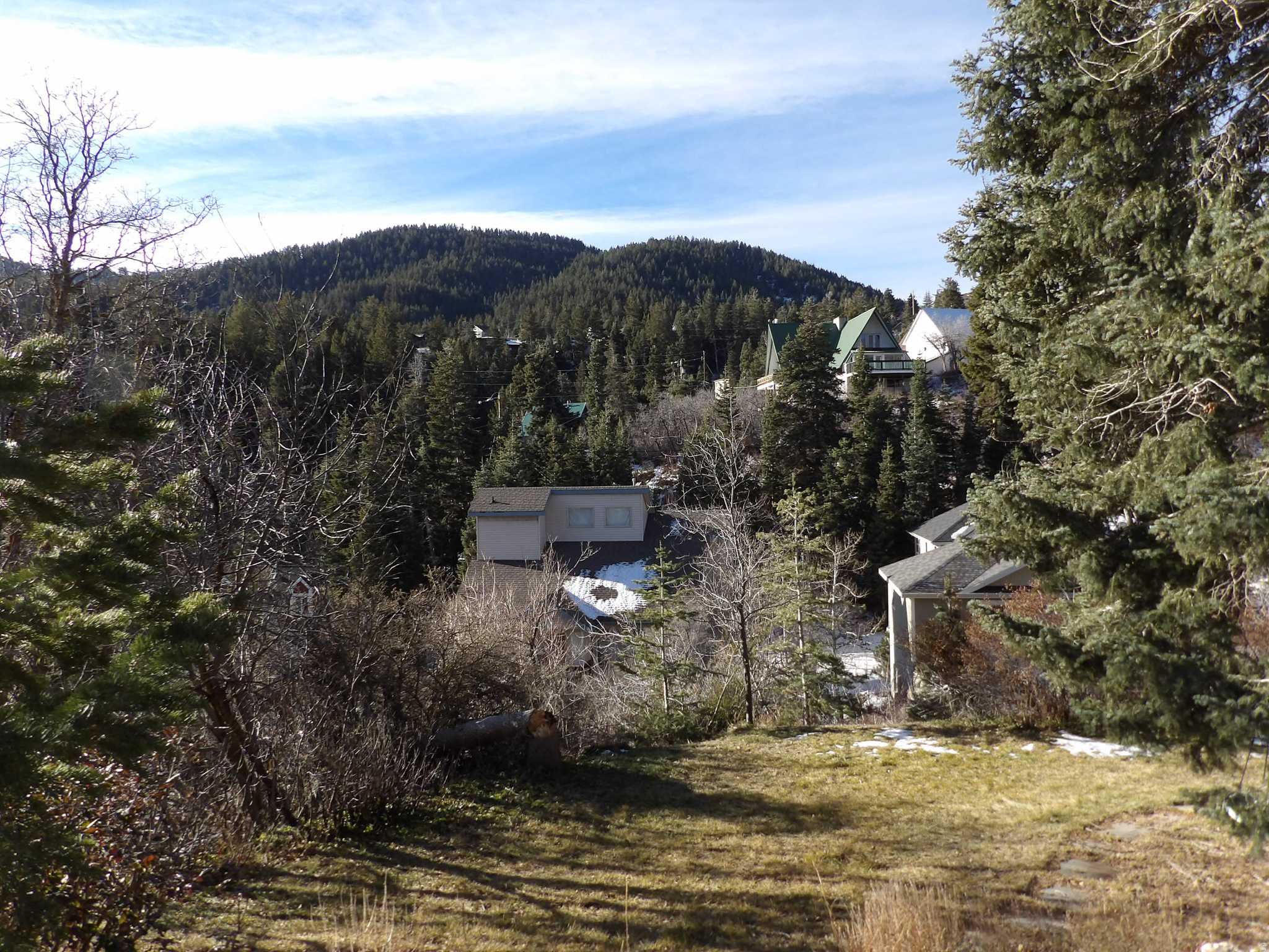 SUMMIT PARK - Residential