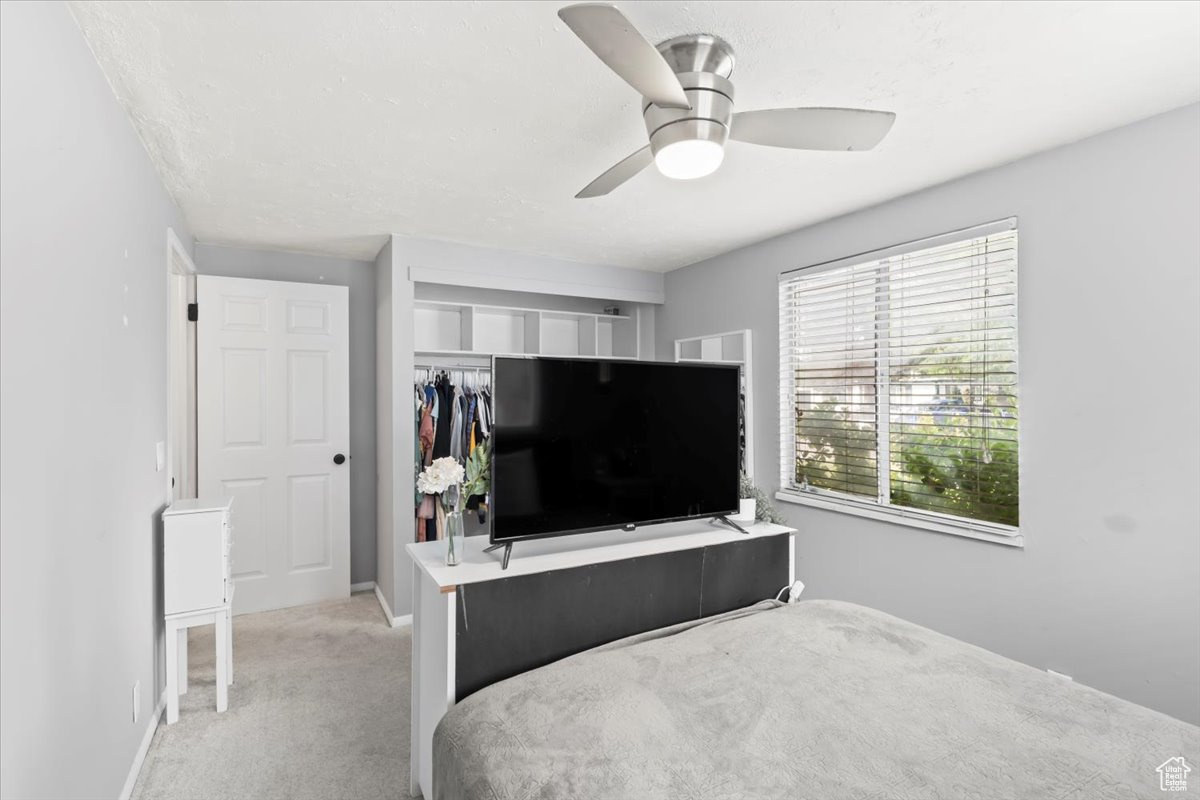 HILLSDALE - Residential