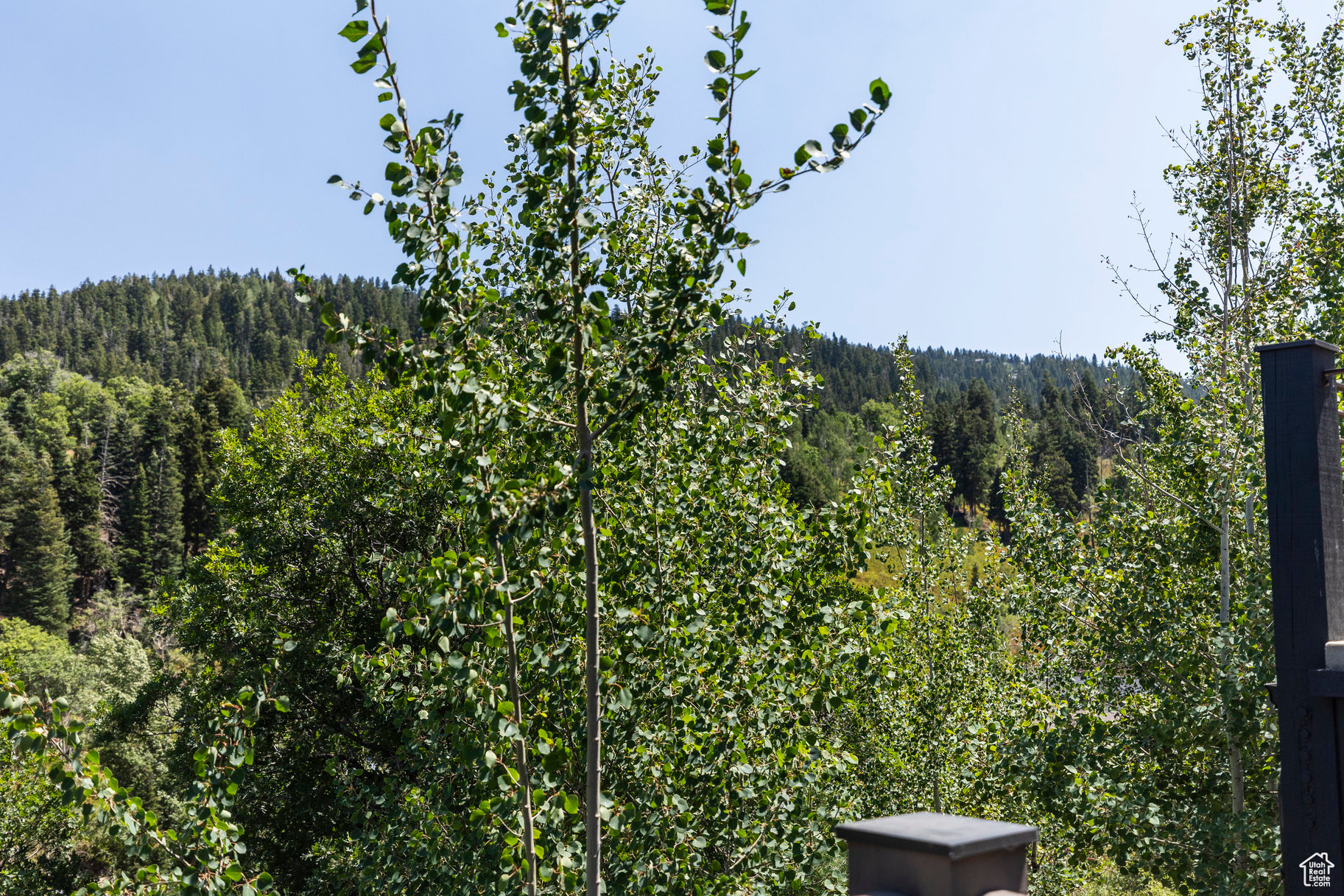 KING RIDGE ESTATES - Residential