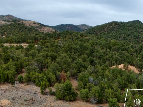 Photo of 5011 COUGAR RUN #22, Birdseye, UT 84629 (MLS # 2146889)