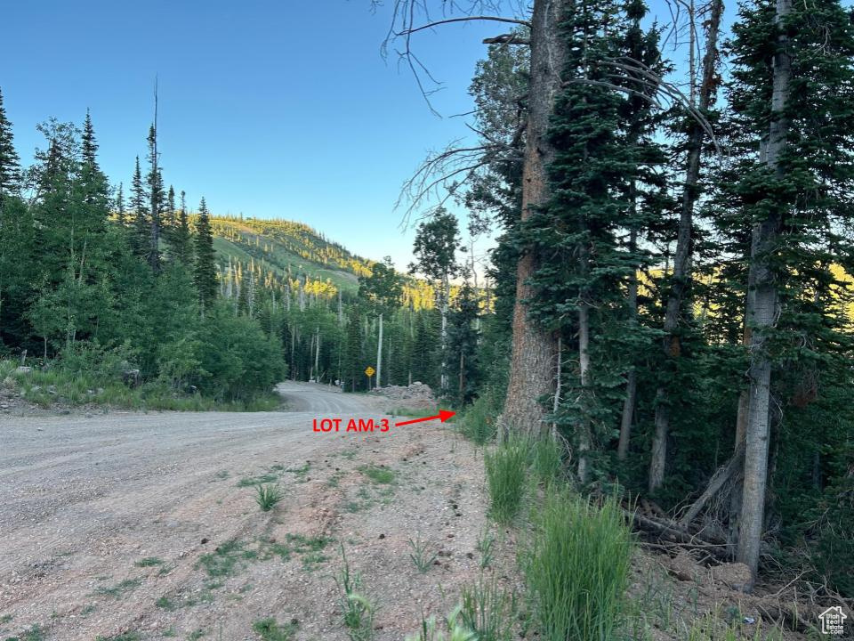 SKI HAVEN CHALET - Land