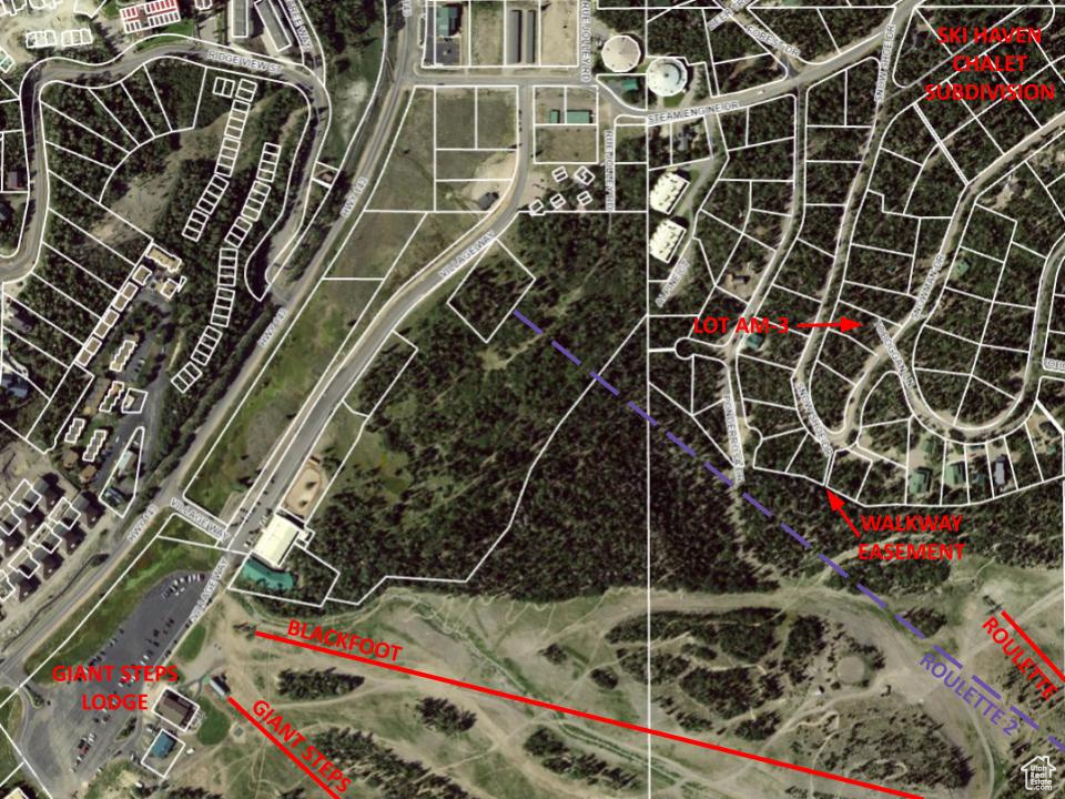 SKI HAVEN CHALET - Land