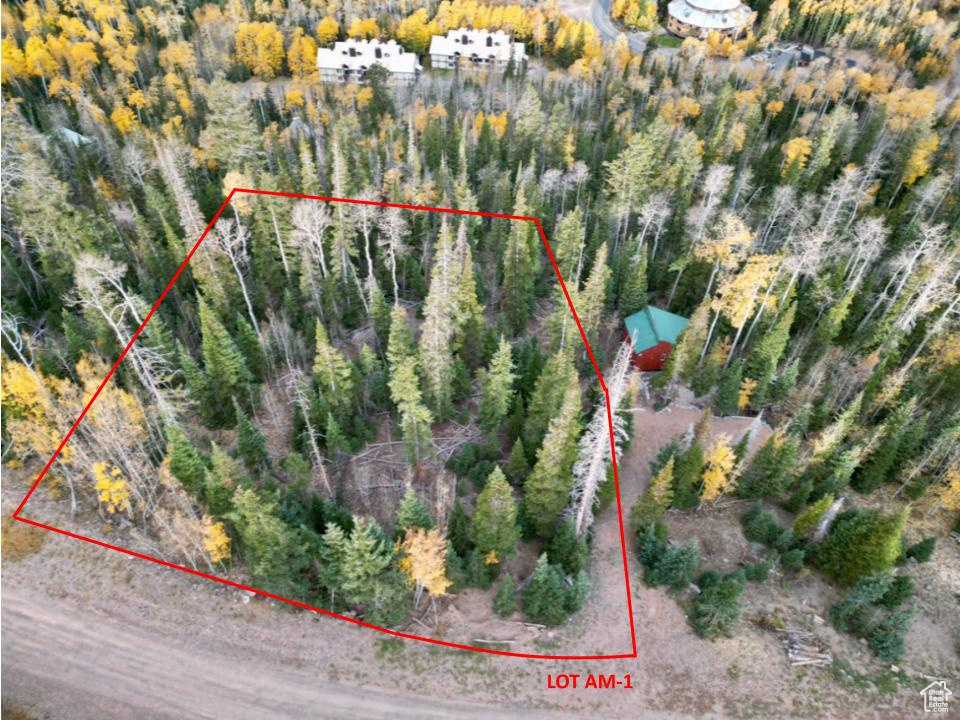 SKI HAVEN CHALET - Land