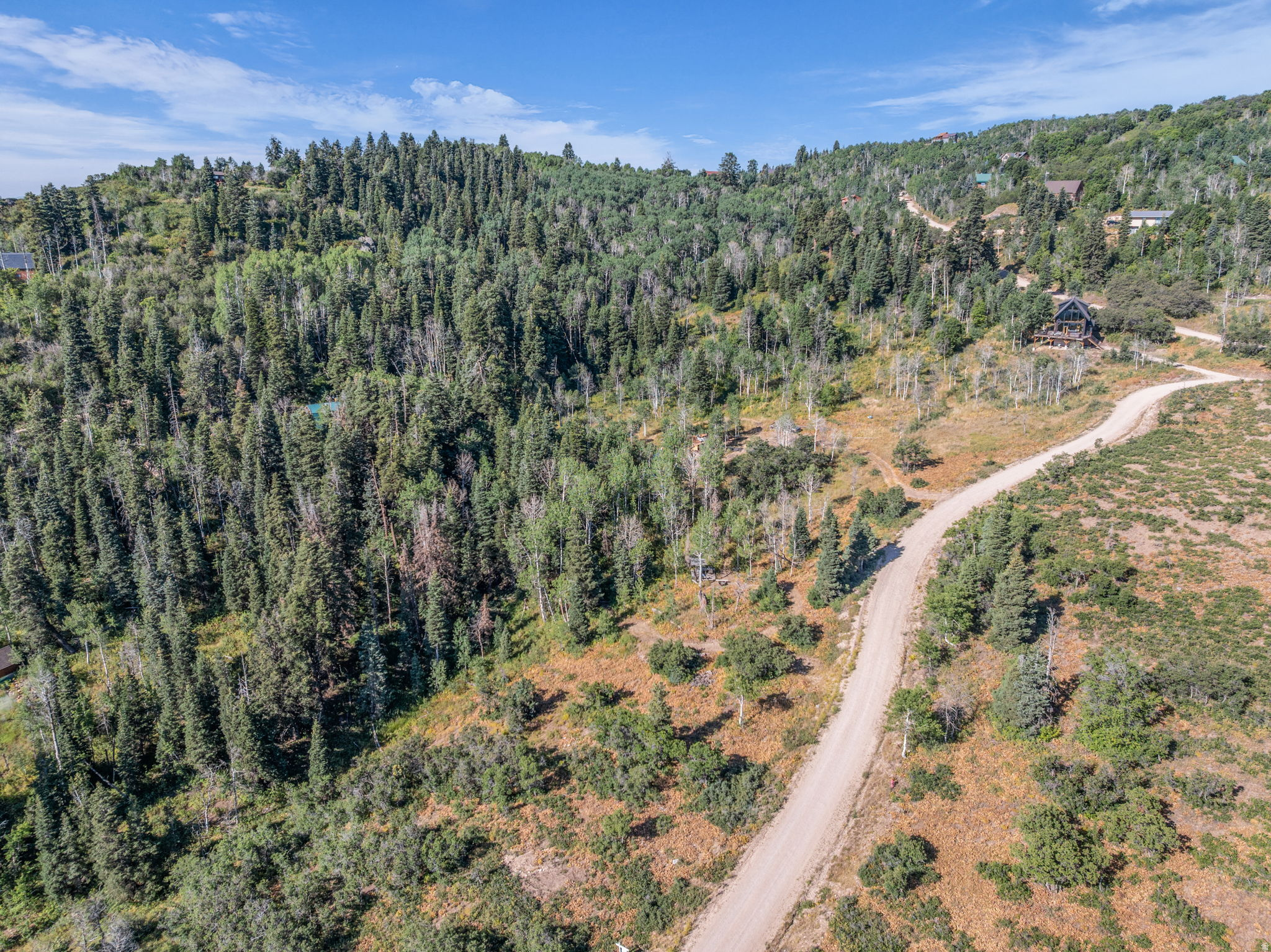 FOREST MEADOWS - Land