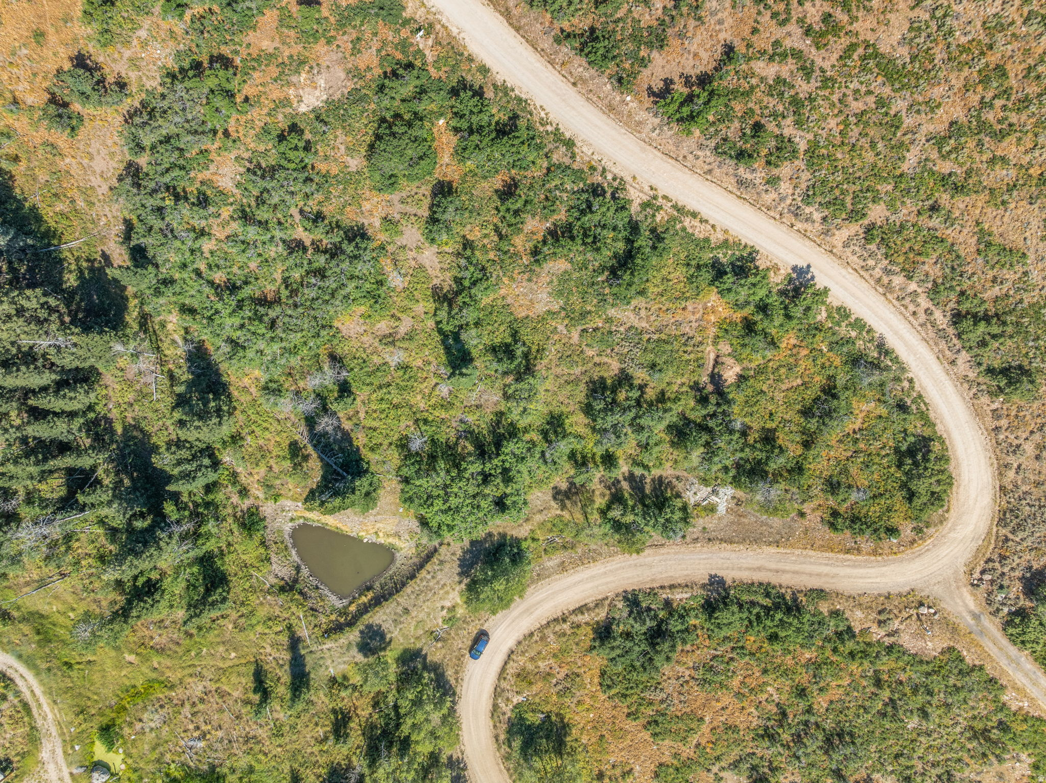 FOREST MEADOWS - Land