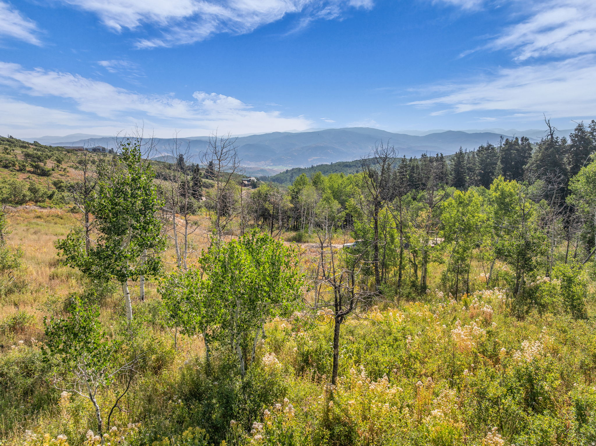 FOREST MEADOWS - Land