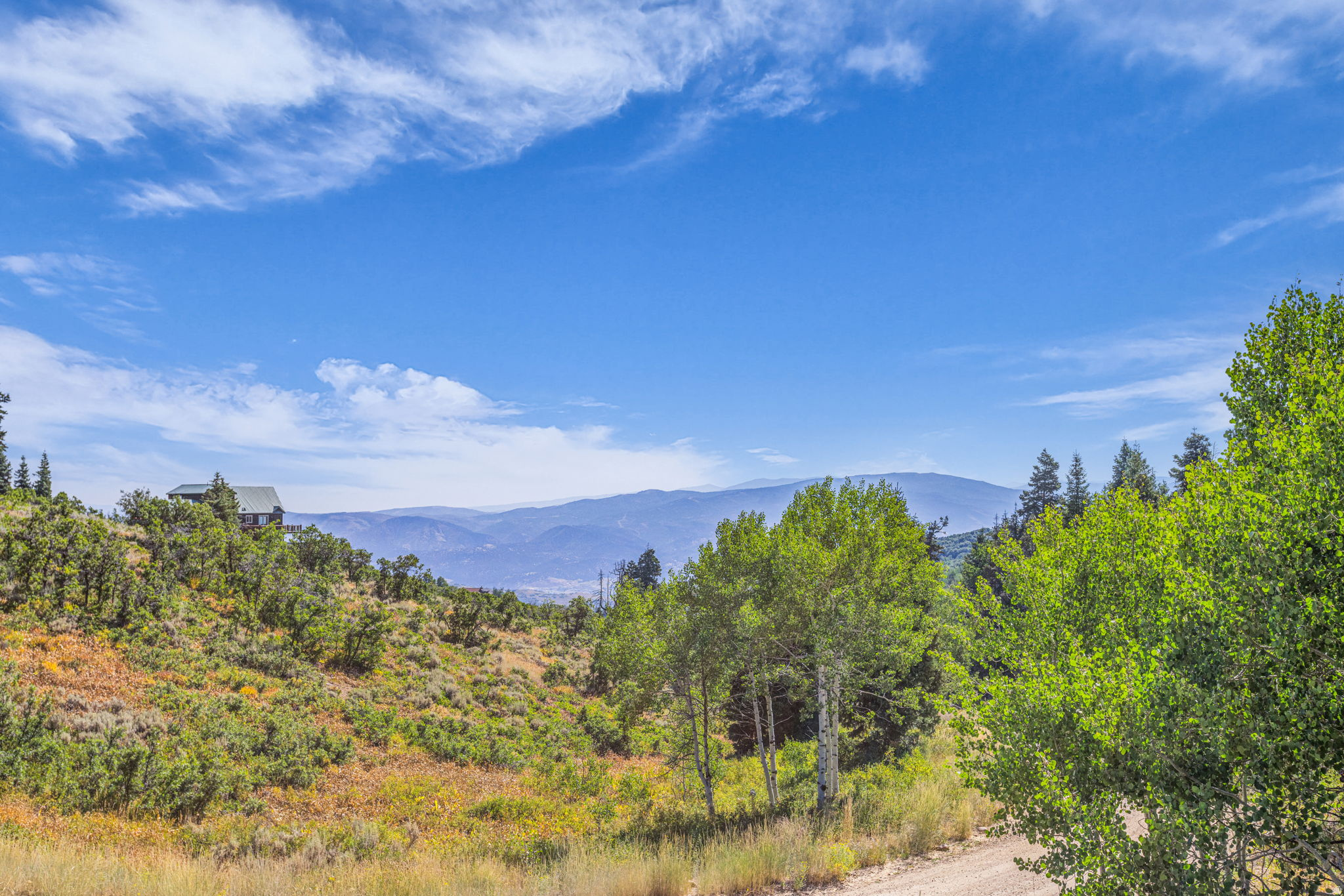 FOREST MEADOWS - Land