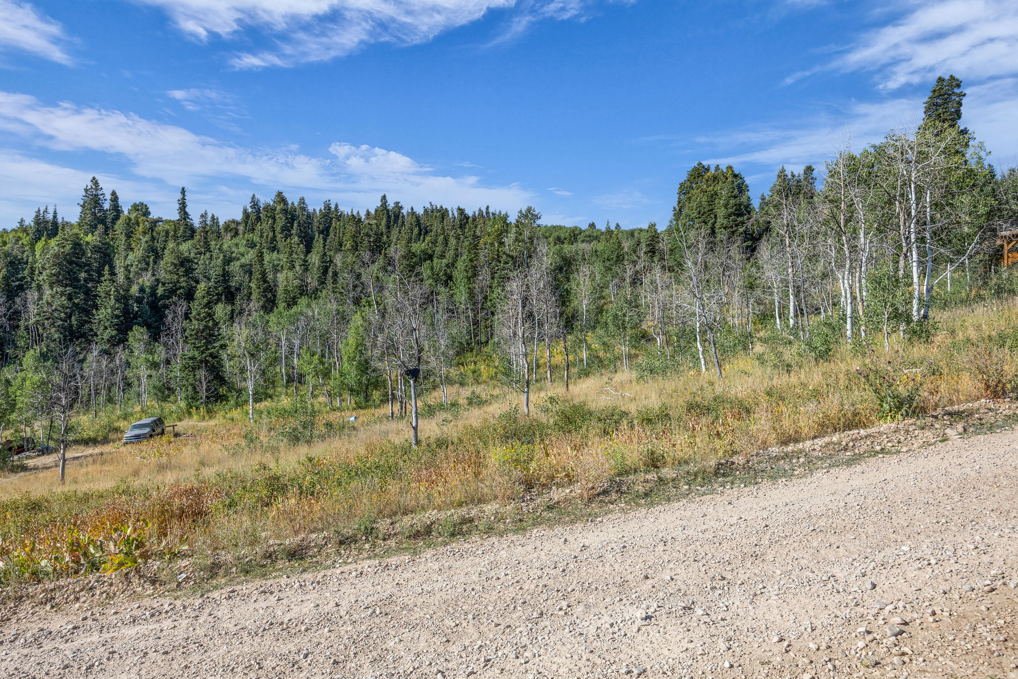 FOREST MEADOWS - Land