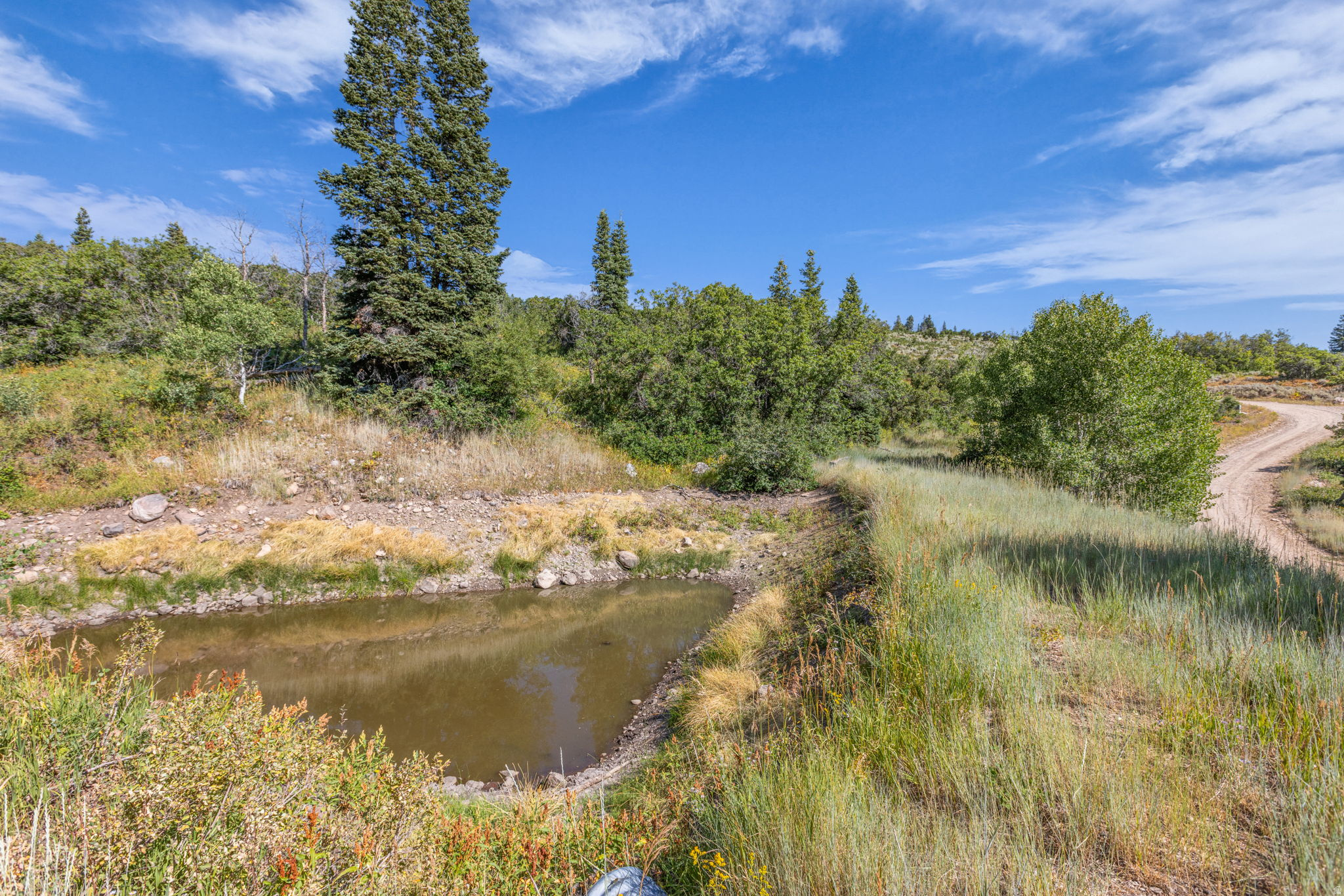 FOREST MEADOWS - Land