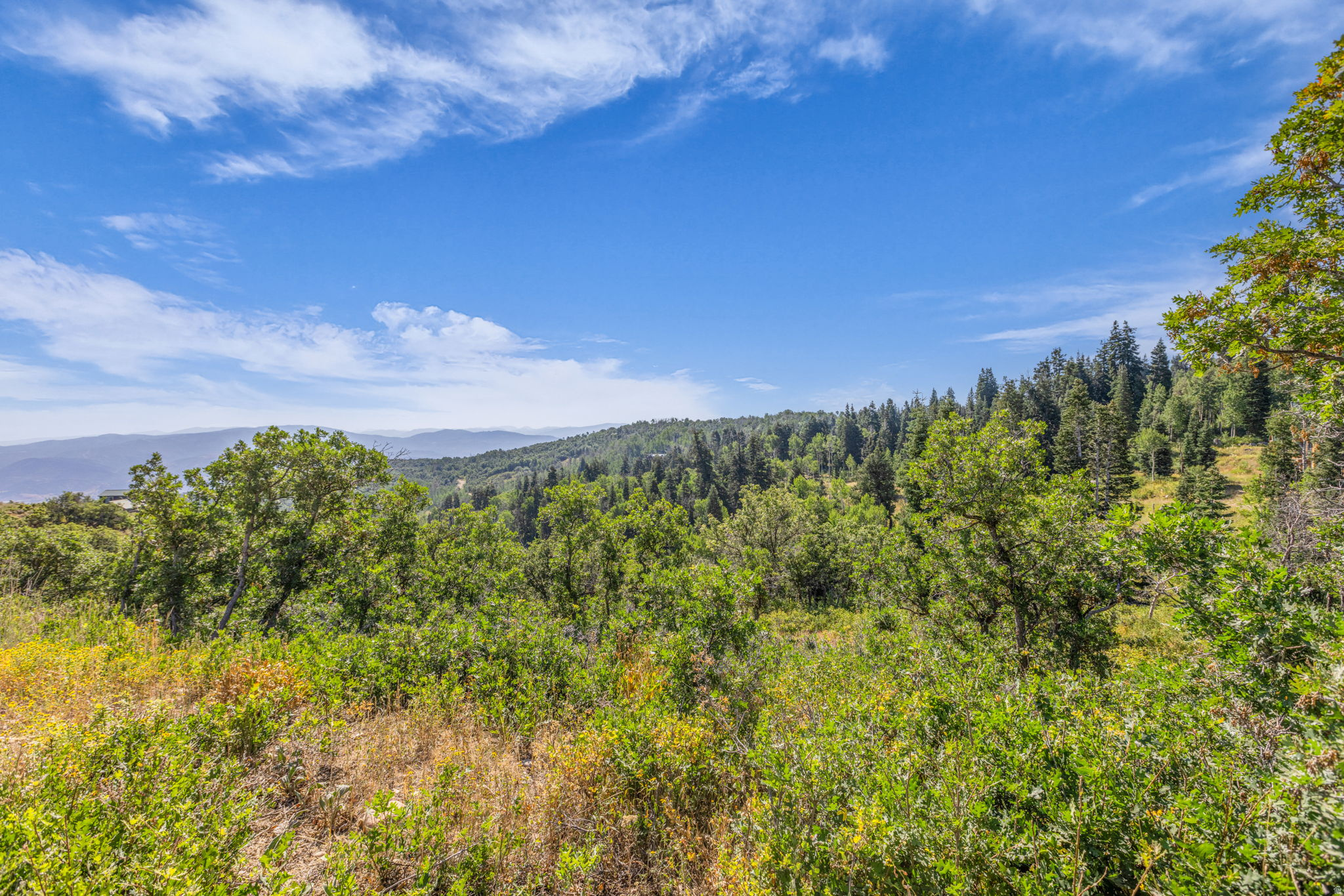 FOREST MEADOWS - Land
