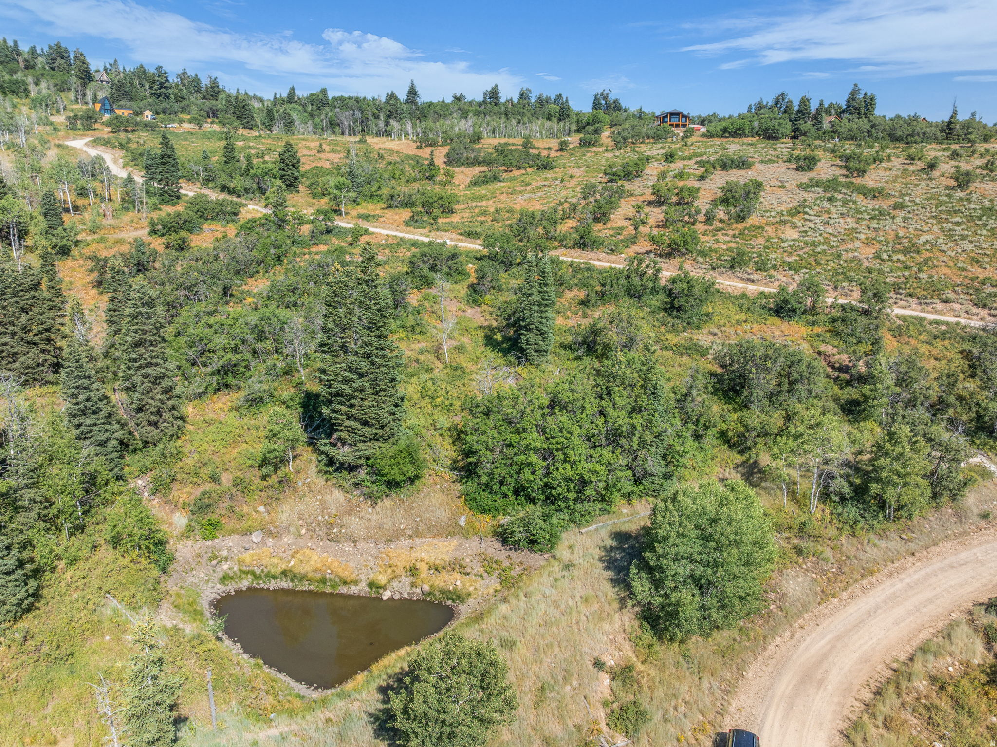 FOREST MEADOWS - Land