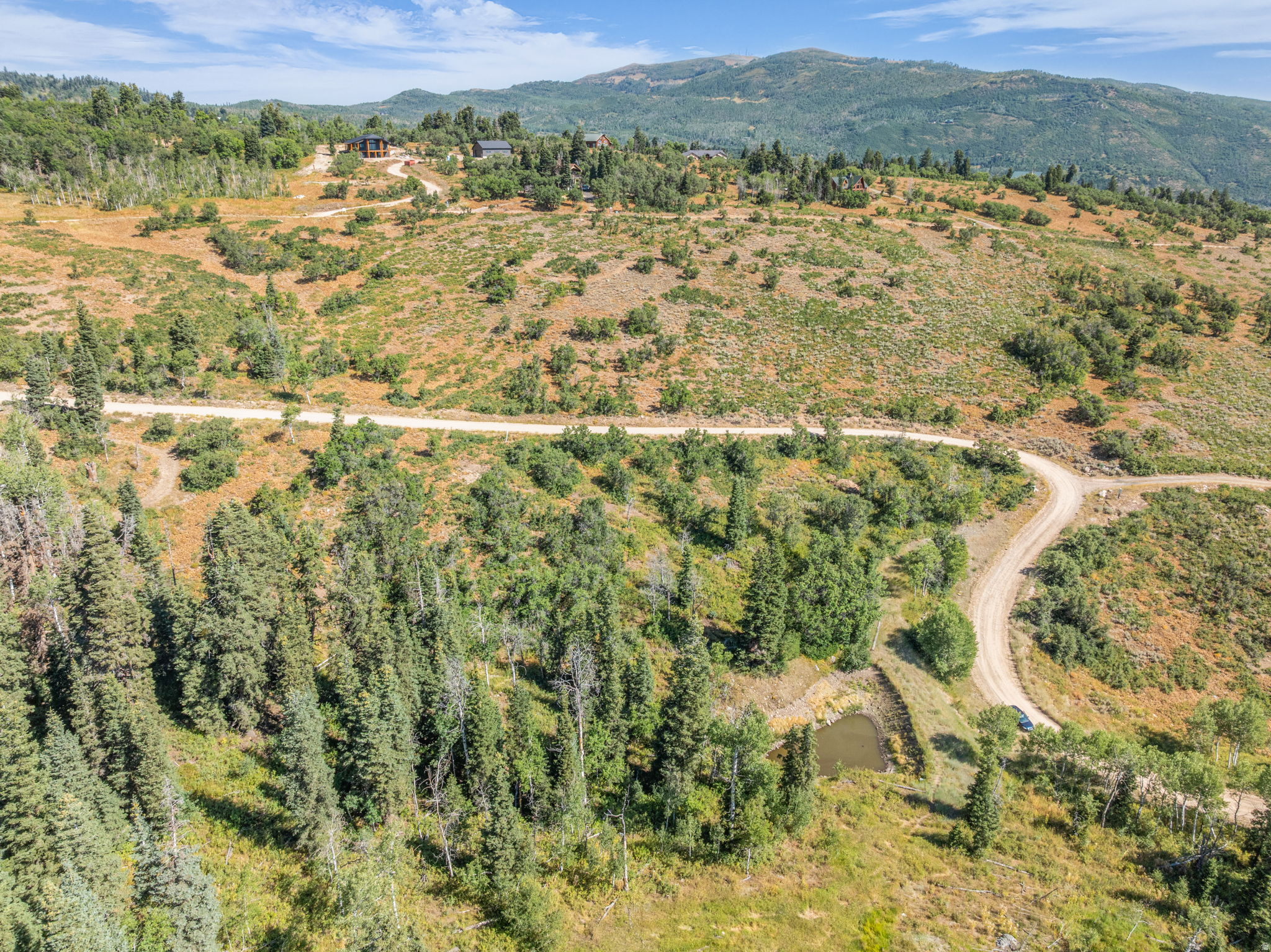 FOREST MEADOWS - Land